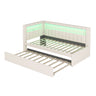Upholstered Platform Bed With USB Ports And LED Belt