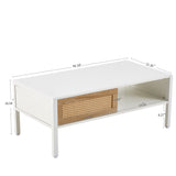 Modern Rattan Coffee Table with Sliding Door