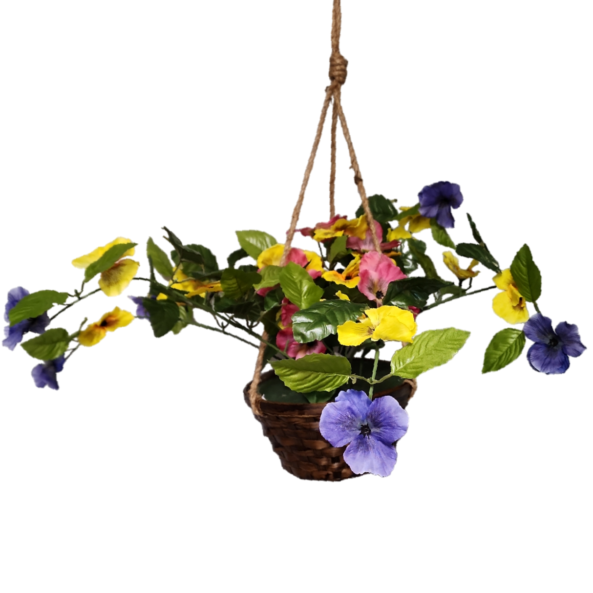 Trailing Pansy Flowers in 8" Hanging Bamboo Basket -
