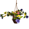 Trailing Pansy Flowers in 8" Hanging Bamboo Basket -