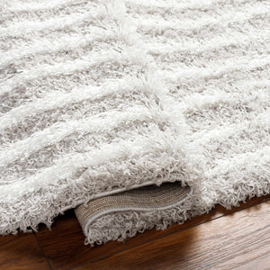Akela Shag Area Rug - Clearance