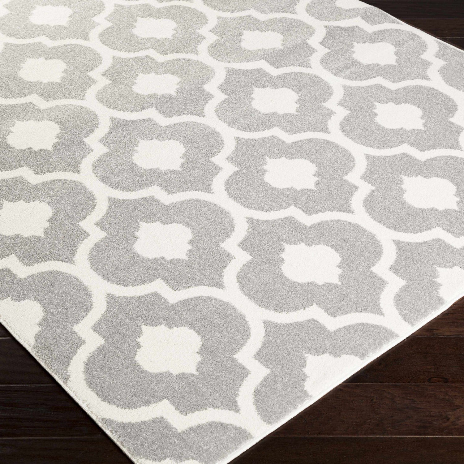 Alachua Area Rug - Clearance