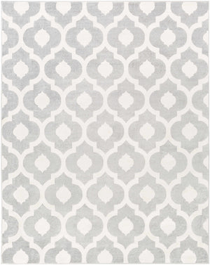 Alachua Area Rug - Clearance