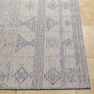 Malamig Gray & Blue Area Rug - Clearance