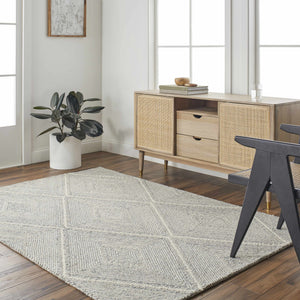 Amari Area Rug - Clearance
