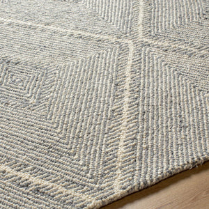 Amari Area Rug - Clearance
