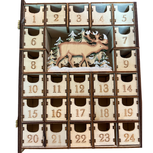 Merry Christmas Advent Book