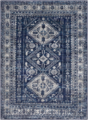 Andes Blue Area Rug