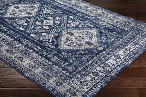 Andes Blue Area Rug