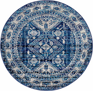 Andes Blue Area Rug