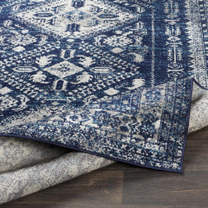 Andes Blue Area Rug