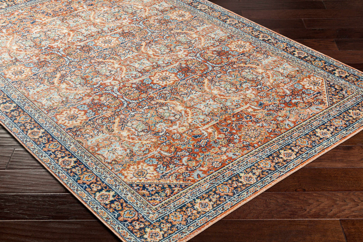 Ania Area Rug - Clearance