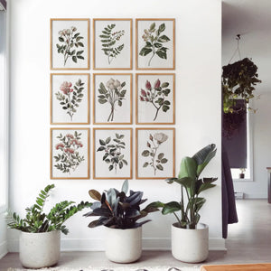 Set of 9 Botanical Posters. Vintage Flowers Wall Art