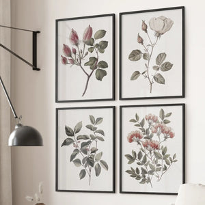 Vintage Floral Set of 4 Prints. Botanical Wall Art