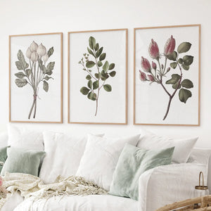 Rustic Botanical Print Set of 3. Vintage Flowers Wall Art