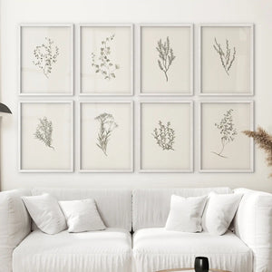 Minimalist Herb Botanical Set of 8 Prints. Floral Art Decor