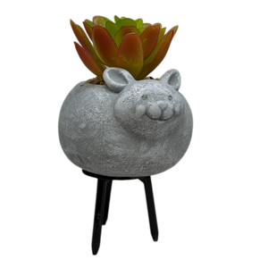 Faux 2 Tone Succulent In Planter - Mouse