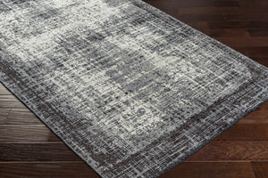 Binh Gray Area Rug - Clearance