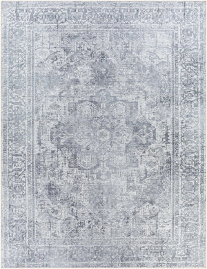 Aquino Washable Area Rug - Clearance