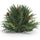 Arborvitae Half Orb 8.5"D - Tuesday Morning - Decorative Objects