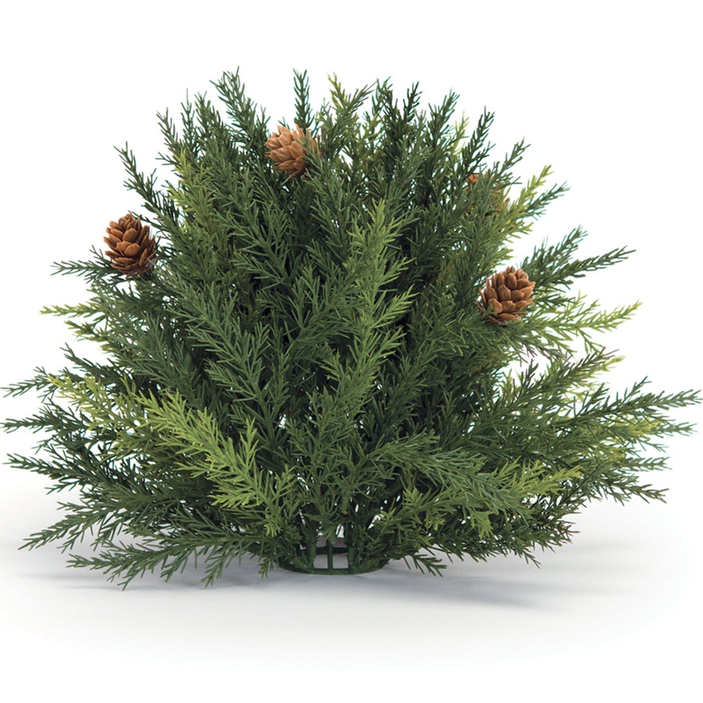 Arborvitae Half Orb 8.5"D