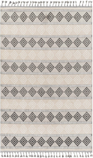 Arij Area Rug - Clearance