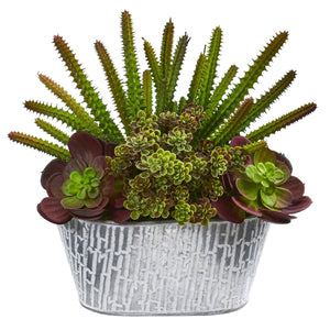 11” Echeveria and Cactus Artificial Plant in White Tin Planter