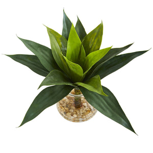 12" Agave Succulent Artificial Plant in Glass Vase"