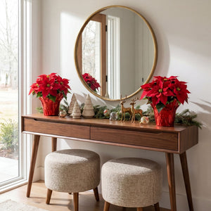 13" Artificial Poinsettia Arrangement in Red Wrapped Planter - Set of 2