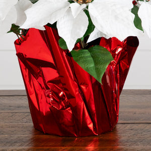 13" Artificial Poinsettia Arrangement in Red Wrapped Planter - Set of 2