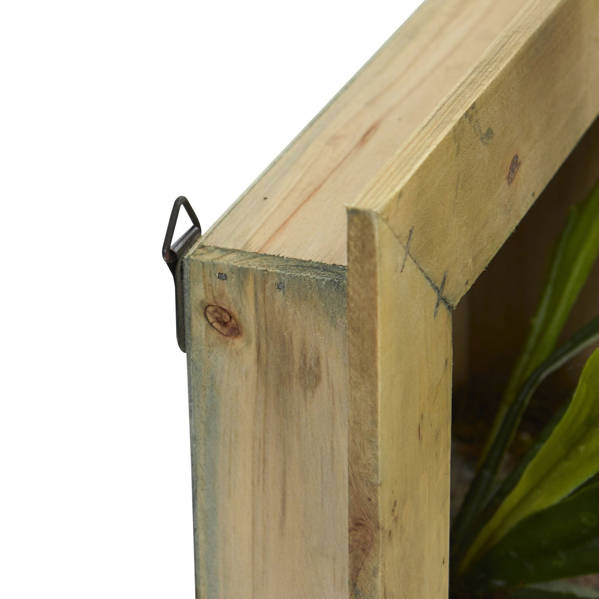 13” Staghorn Artificial Plant in Wood Hanging Frame