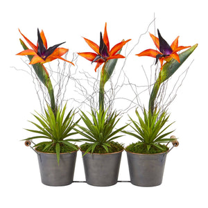 14” Bird of Paradise and Succulent Artificial Arrangement in Trio Metal Planter
