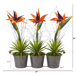 14” Bird of Paradise and Succulent Artificial Arrangement in Trio Metal Planter