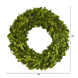 14” Preserved Boxwood Wreath