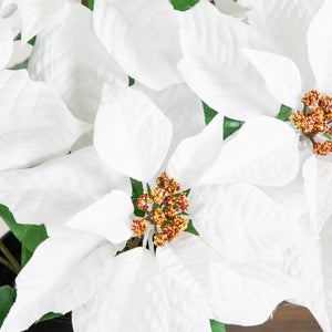 15" Artificial Poinsettia Plant