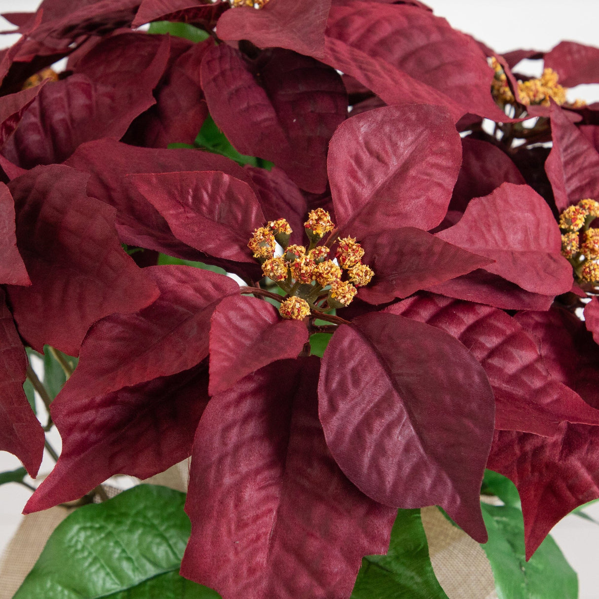 16" Artificial Poinsettia Arrangement in Burlap Planter
