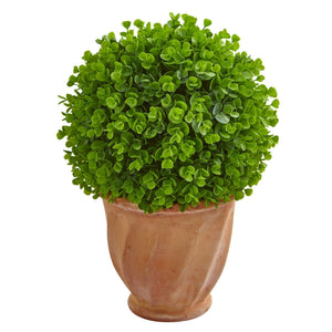 17” Eucalyptus Artificial Ball in Terra Cotta Planter