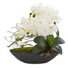 17” Phalaenopsis Orchid Arrangement in Decorative Planter