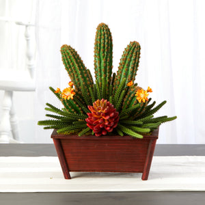 18” Mixed Cactus Succulent Artificial Plant in Planter