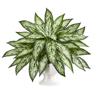 18” Silver Queen Artificial Plant in White Pedestal