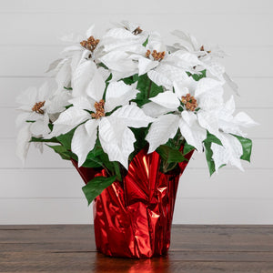 19” Artificial Lush White Poinsettia Arrangement in Red Wrapped Planter