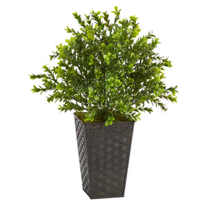 19” Sweet Grass Artificial Plant in Embossed Black Planter (Indoor/Outdoor)