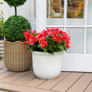 19" UV Resistant Artificial Azalea Bush (Indoor/Outdoor) - Set of 3