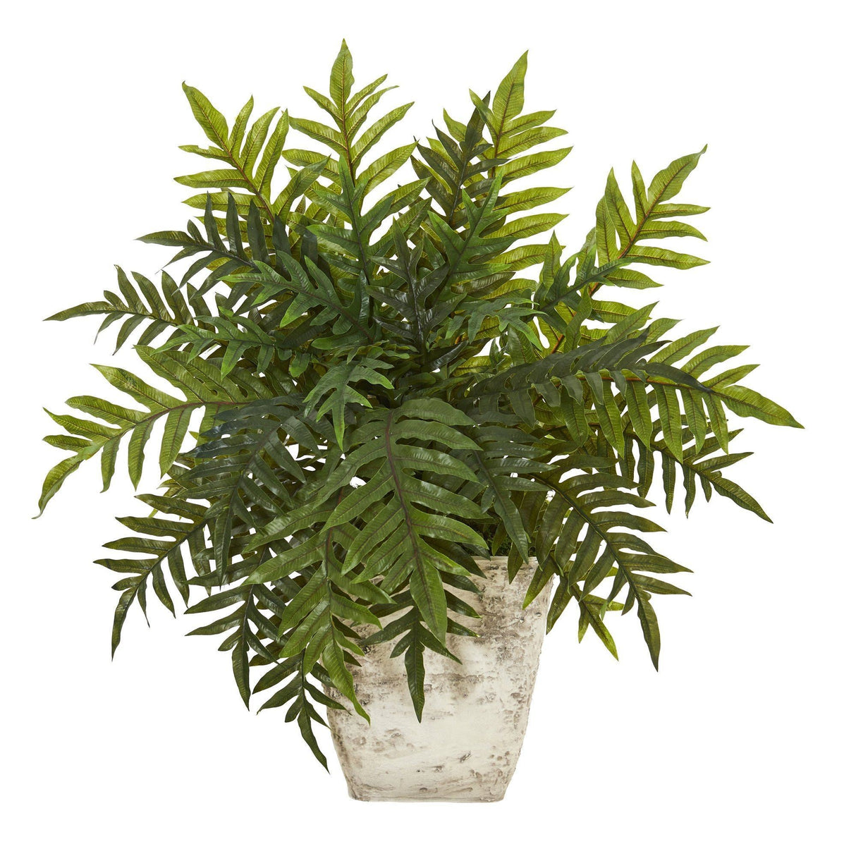 2’ Hares Foot Fern Artificial Plant in Country White Planter (Real Touch)