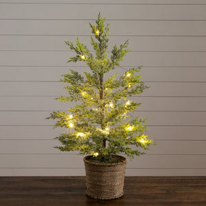 2’ Pre-Lit Artificial Snowed Cypress Christmas Tree with 30 LED Lights in Hyacinth Basket