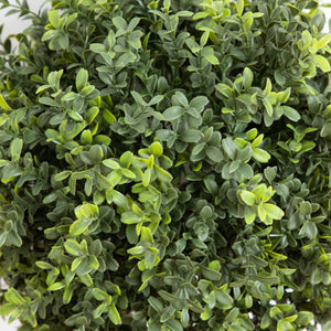 2' UV Resistant Artificial Boxwood Topiary with Integrated Ground Stake (Indoor/Outdoor) - Set of 2
