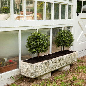 2' UV Resistant Artificial Boxwood Topiary with Integrated Ground Stake (Indoor/Outdoor) - Set of 2