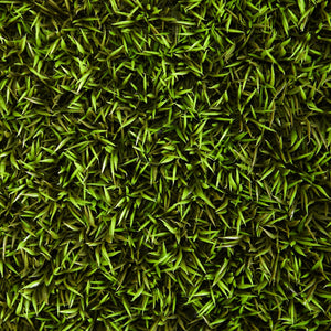 20” Mini Pordocarpus Artificial Wall Mat (Indoor/Outdoor) (Set of 2)