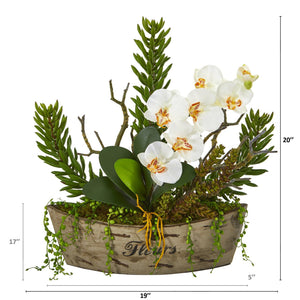20” Orchid Phalaenopsis and Mix Succulent Artificial Arrangement