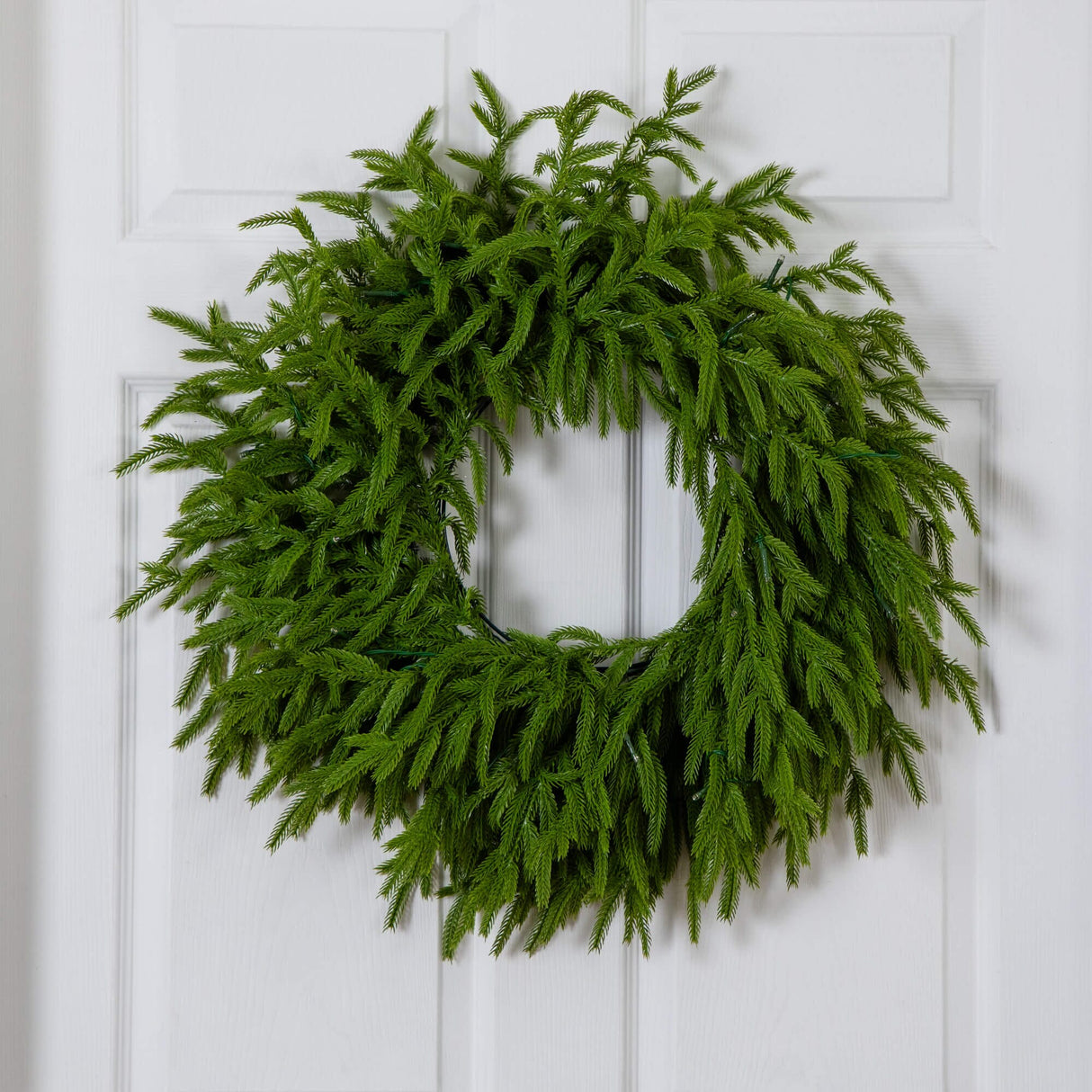 20" Pre-Lit Artificial Real Touch Norfolk Island Pine Wreath with 35 Warm White LED Lights and Natural Look